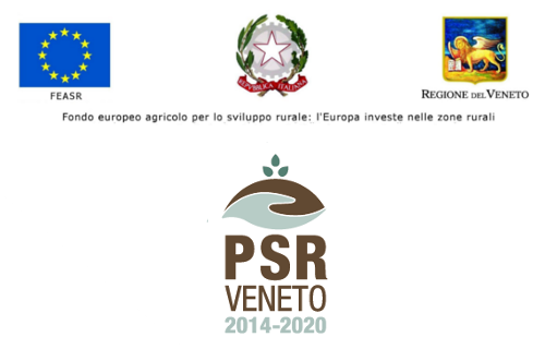 PSR Veneto fondo europeo agricolo per lo sviluppo rurale: L'Europa investe nelle zone rurali